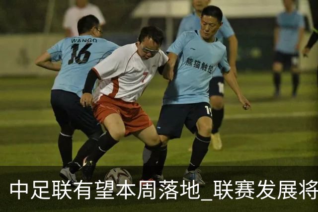 中足联有望本周落地 联赛发展将进入全新时代